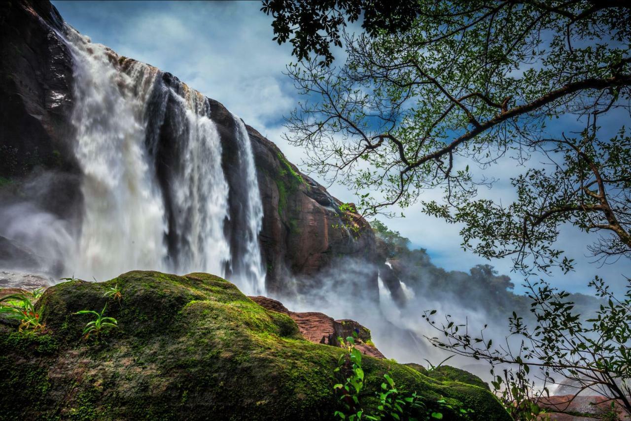 Niraamaya Retreats Samroha Athirappilly エクステリア 写真
